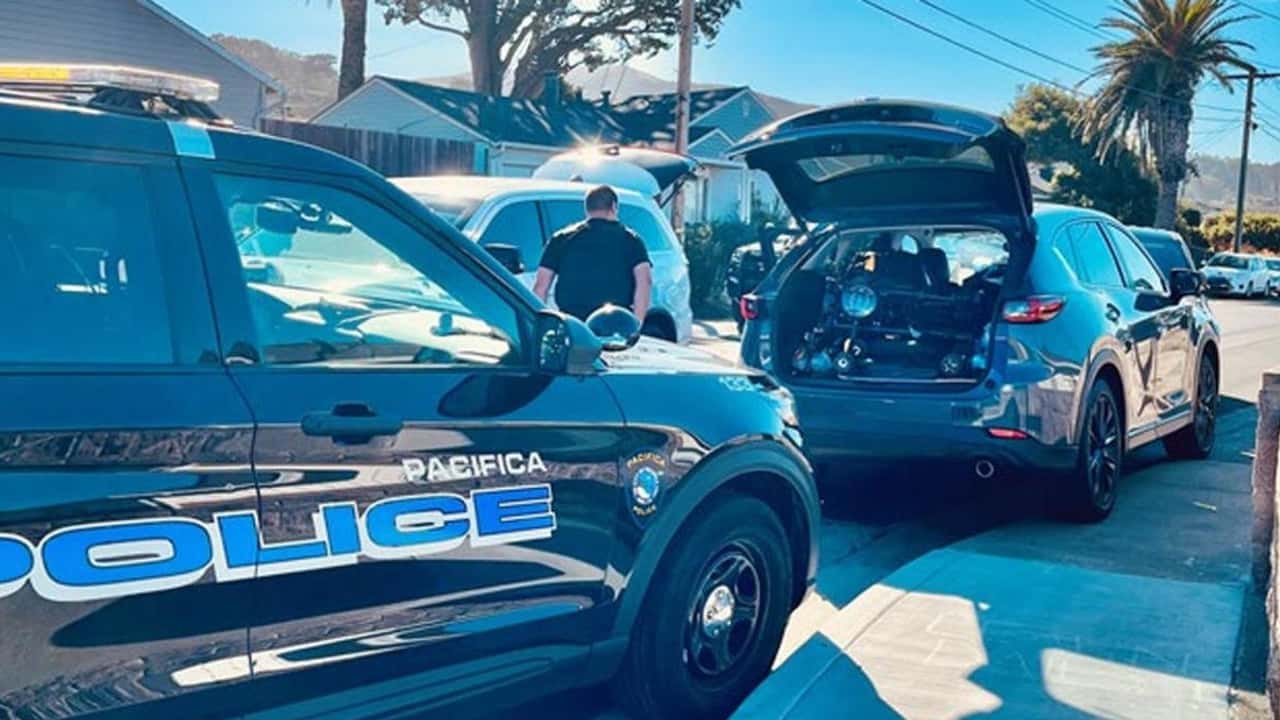 car and motorcycle thief