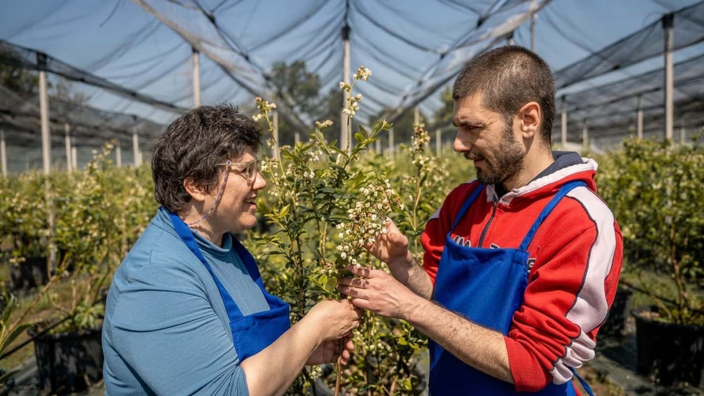 GAL Mongioie, bando SRD03 da 162 mila euro per aziende