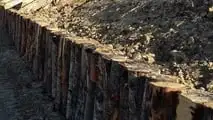 Malaguti: battipalo e fresaceppi per l'agricoltura