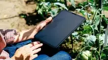 Sensori e AI per programmare i volumi irrigui del pomodoro nel 2026