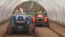 Ortofrutta: 19 miliardi e Italia seconda in Ue