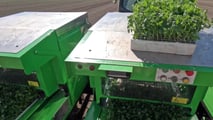 Come usare guida automatica e ISOBUS nel trapianto del pomodoro?