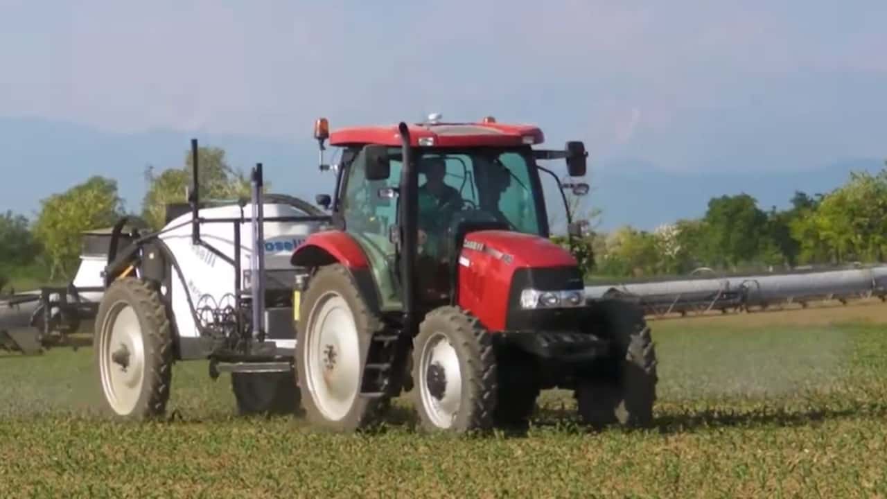 Diserbo post emergenza del mais 2026 dopo lo stop a s-metolachlor