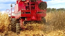 Strategie operative per combinare frantuma stoppie, testata mais e lavorazioni del terreno per contenere piralide e micotossine