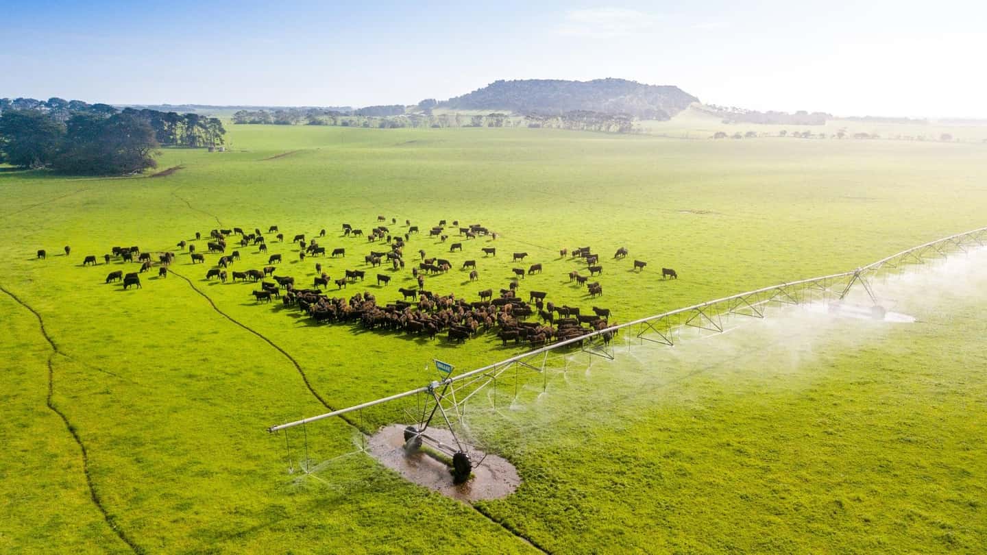 Grande fattoria in vendita in Australia con pista d’atterraggio