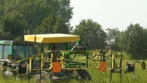  contenere riso crodo e graminacee resistenti in risaia, combinando Provisia, falsa semina, rotazioni colturali e controllo meccanico mirato