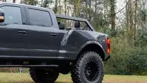 MegaRexx MegaRaptor 7