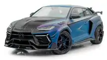 Mansory Venatus Coupe Evo C