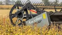 Fendt IDEAL 8T: perchè comprarla