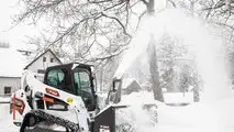 Bobcat Neve
