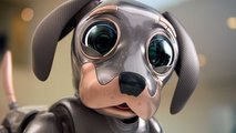 Robo Dog In Kia EV6 Super Bowl Commercial