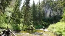 Stark Varg and Two Fly Rods