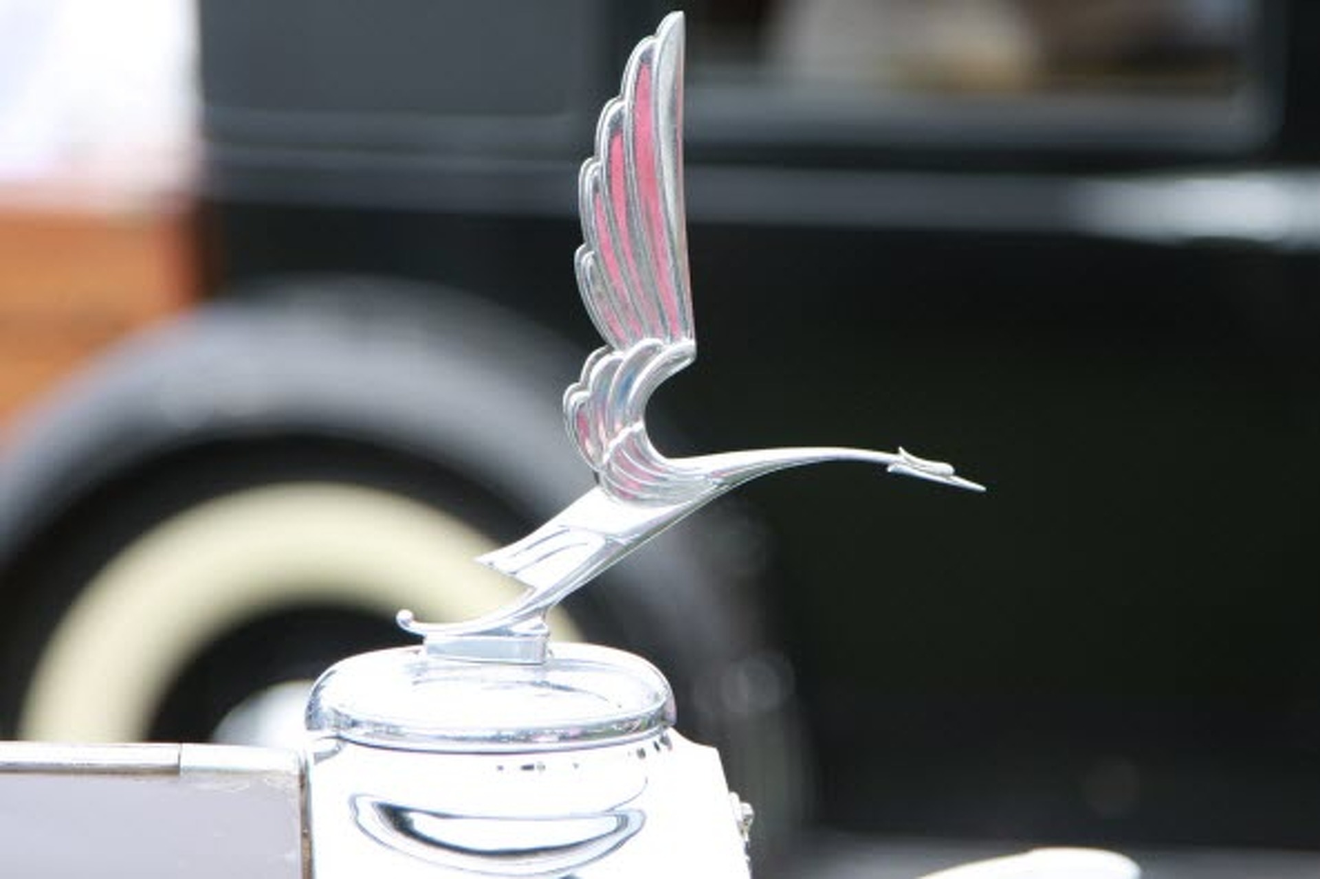 Art in Motion: The World's Most Elegant Radiator Mascots