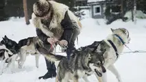 2017 SEAT Leon Cupra ST races sled pulled by huskies
