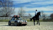 RUF Concetto Rodeo
