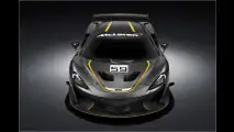 Für den Track: McLaren 570S GT4