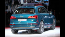 Neuer Audi Q5: Berufs-Evolutionär
