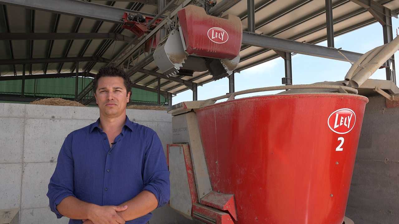 LELY VECTOR
