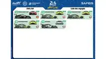 24 Stunden von Le Mans im Internet