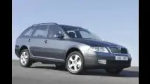 Hochbeiniger Octavia