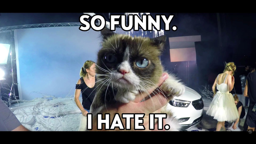 Opel Grumpy Cat Calendar
