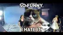 Opel Grumpy Cat Calendar