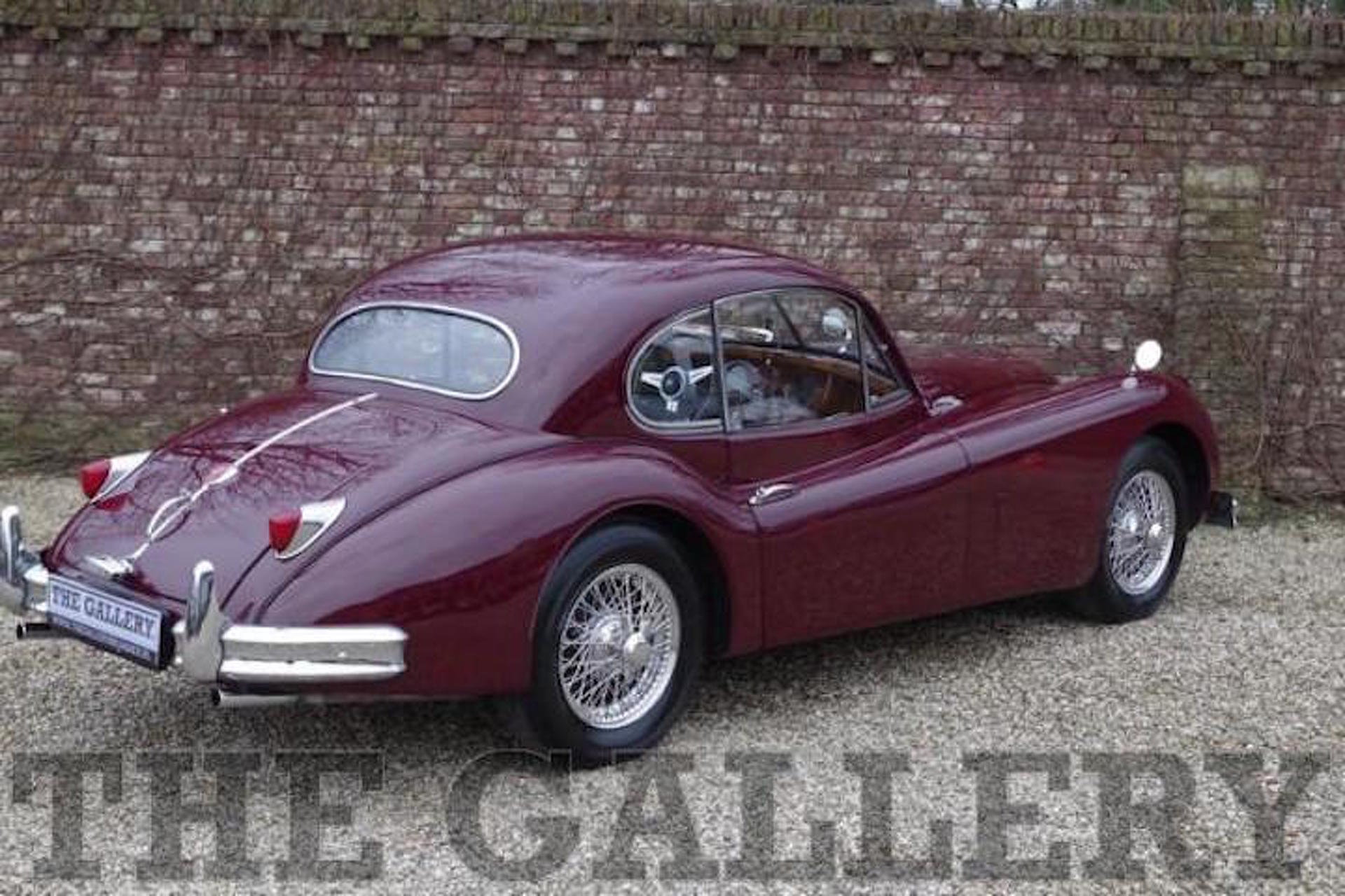 Is This the Movie Jaguar No One Noticed, Or Just a Hoax?