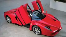 Hilfiger Ferrari Enzo
