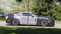 Ford Mustang Shelby GT350 veya GT500 casus fotoğrafları