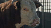 Chevrolet Super Bowl Commercial