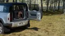 Jaguar Land Rover testet Hundetauglichkeit mit Spezial-Pfote