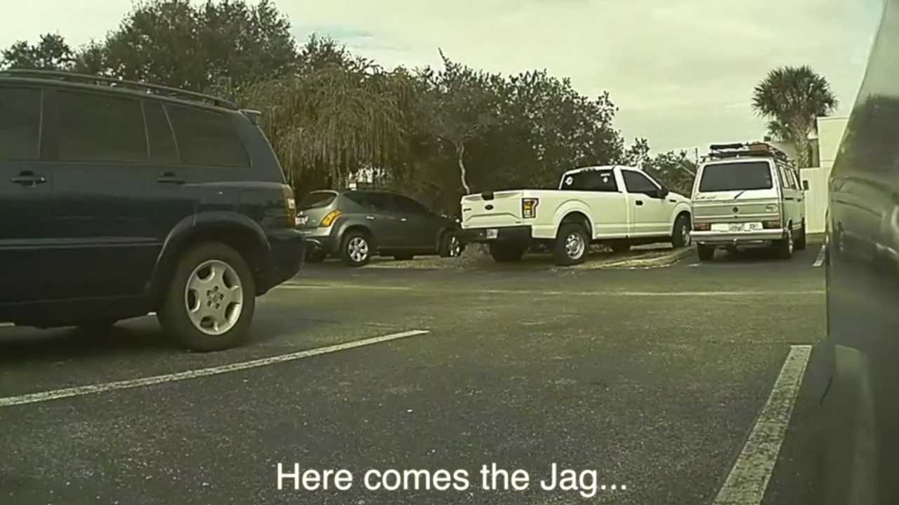 Do You Recognize This Jaguar? What About This Tesla Owner?