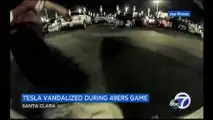 This 49ers Supporter Can't Stand A Tesla, Kicks Its Back Door