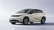 BYD Dolphin 13