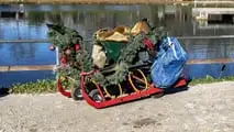 Rudolph, la Renna di Babbo Natale