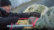 ADAC gibt Tipps für den Weihnachtsbaumtransport