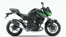 2023 Kawasaki Z 400 - Studio - Green - Right Side