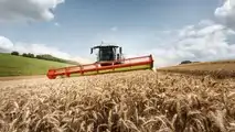 mietitrebbie CLAAS LEXION MY 2023