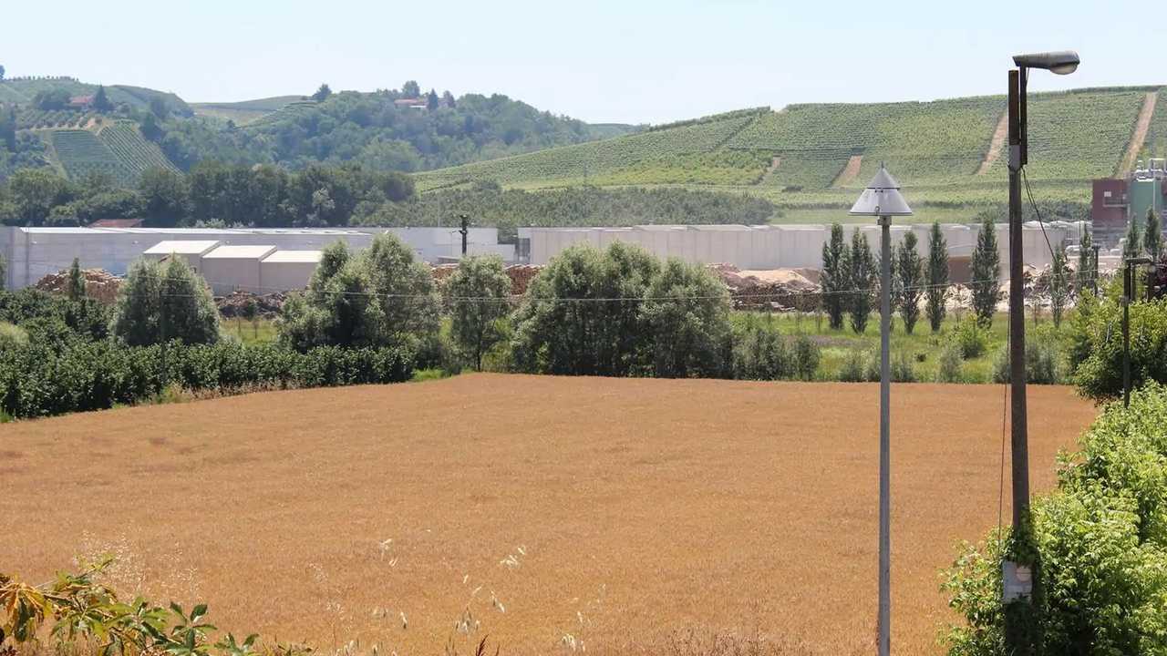 Terreno agricolo in affitto: indennità di miglioramento