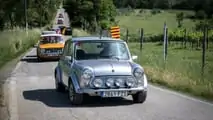 International MINI Meeting 2023