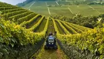 Foto- -Landini Trekker 3-085 Compact a Enovitis in Campo 2023