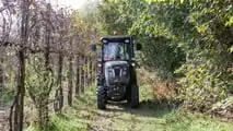 Carraro Tractors Agricube Pro Stage V a Enovitis in Campo 2023