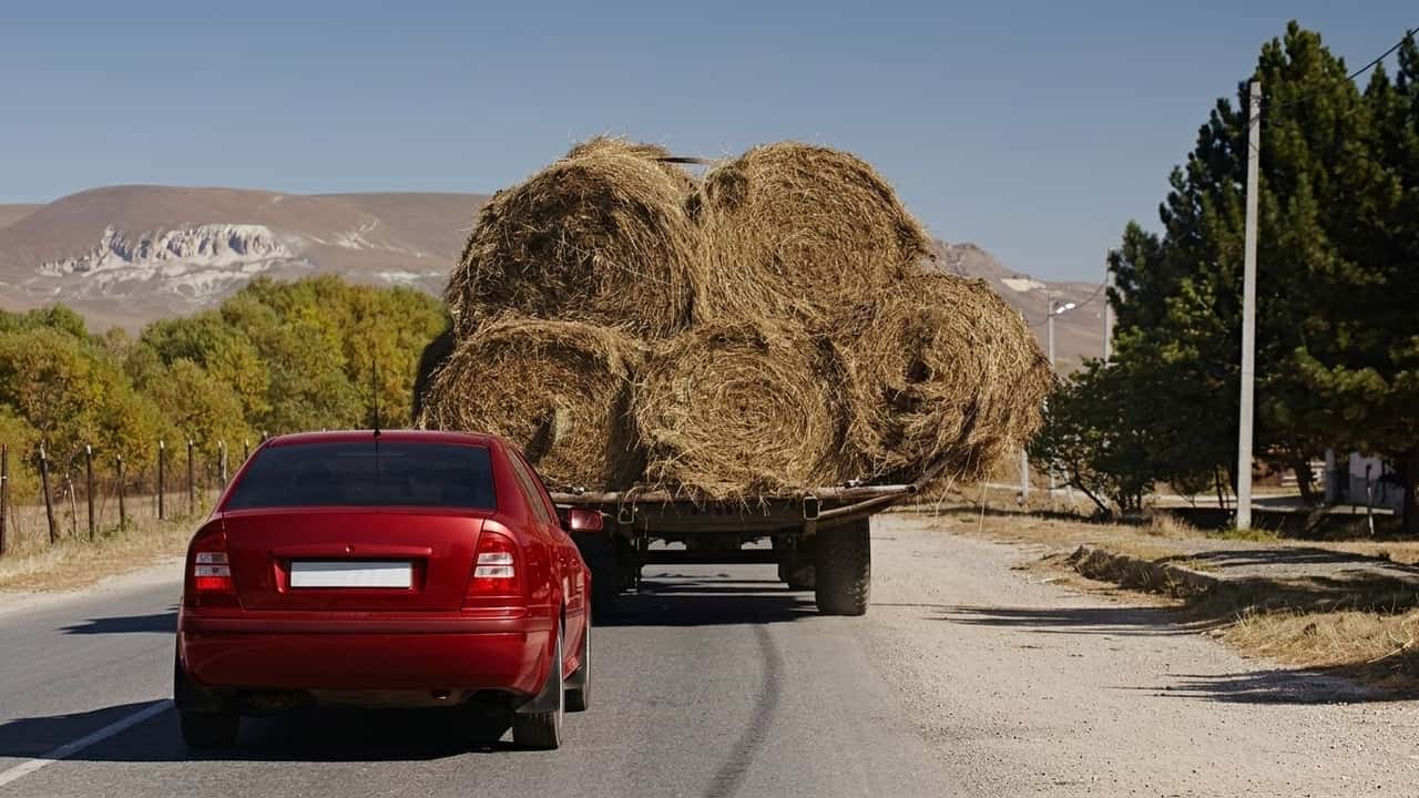 fieno-rovinato-da-unauto-il-giudice-dice-no-al-risarcimento