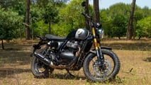 Urso Real Enfield 650 (2025)