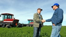 Usato certificato agricolo: modello per concessionari ad alta redditività
