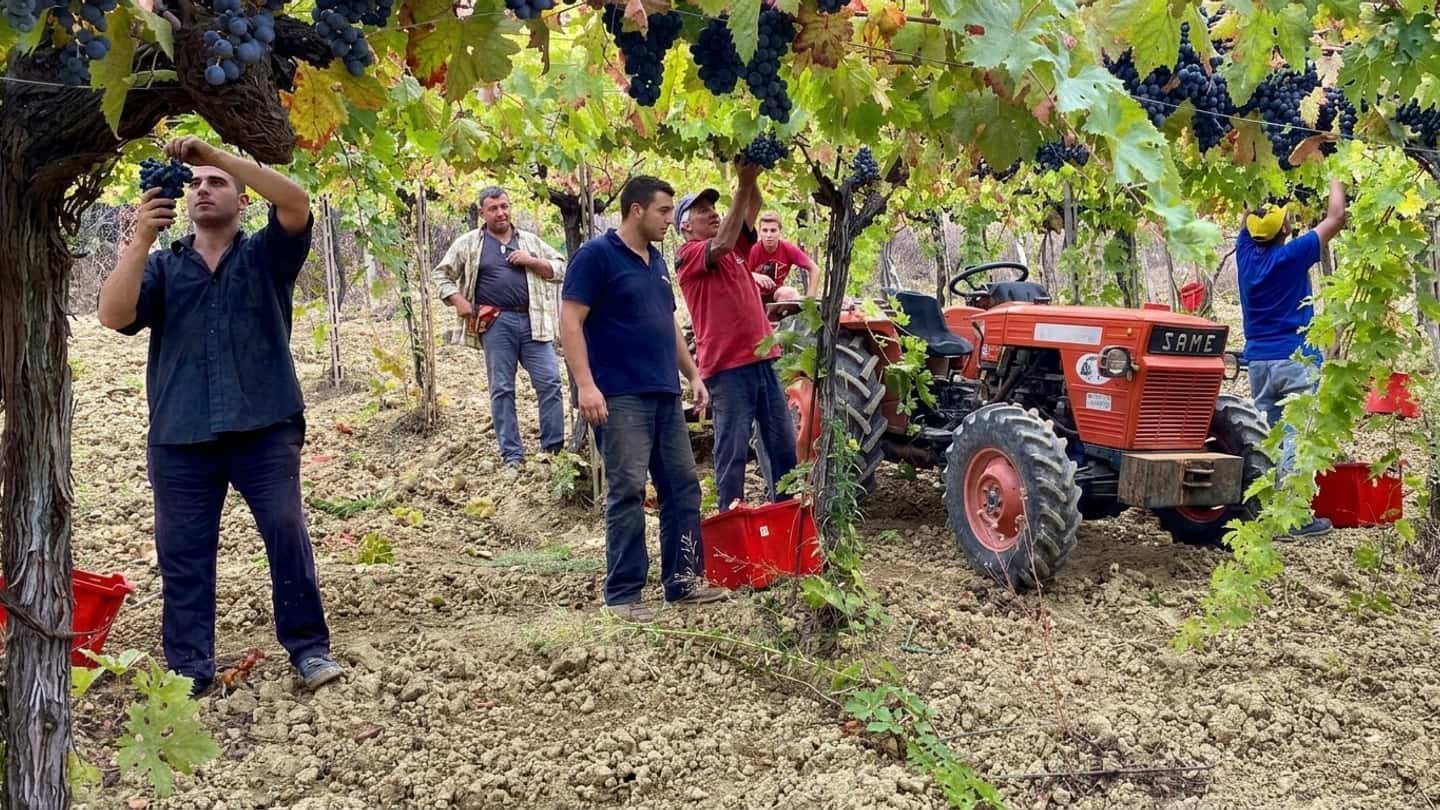 Riduzione contributiva agricola Inps, quadro aggiornato