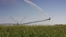 Strategie tecniche per programmare turni, volumi irrigui e scelte varietali del mais con risorsa idrica limitata in scenari di siccità 2026