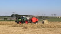 Rotopressa o pressa quadra per la paglia di orzo?