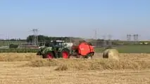 Rotopressa o pressa quadra per la paglia di orzo?