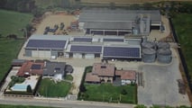 Coltiva Italia: 1 miliardo per cereali, carne e olive